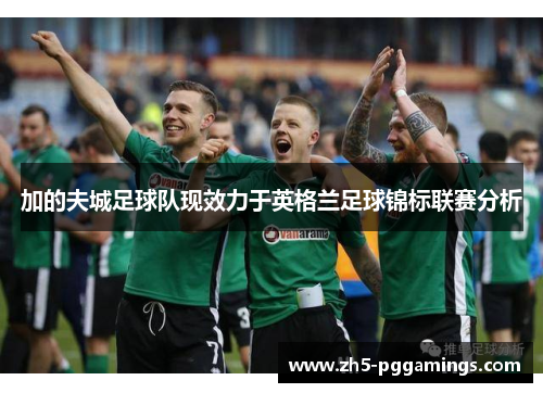 加的夫城足球队现效力于英格兰足球锦标联赛分析 加的夫城足球队现效力于英格兰足球锦标联赛分析